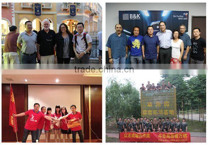 Seagull,cheap retro electric bike