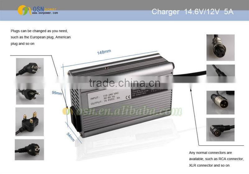 high power lifepo4 battery charger 12V 5A
