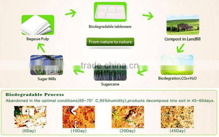 Cheap Different Size Biodegradable Bagasse Sugar Cane Square Plate