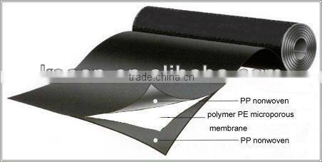 Waterproof Membrane for Roof Building Membrane PE Membrane for Roof