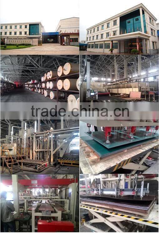 wuya wood color 13mm hpl compact panel