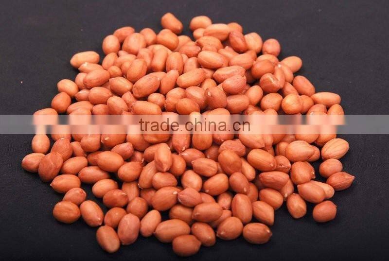 Indian Sargiya Brand Peanuts PEANUT JAVA
