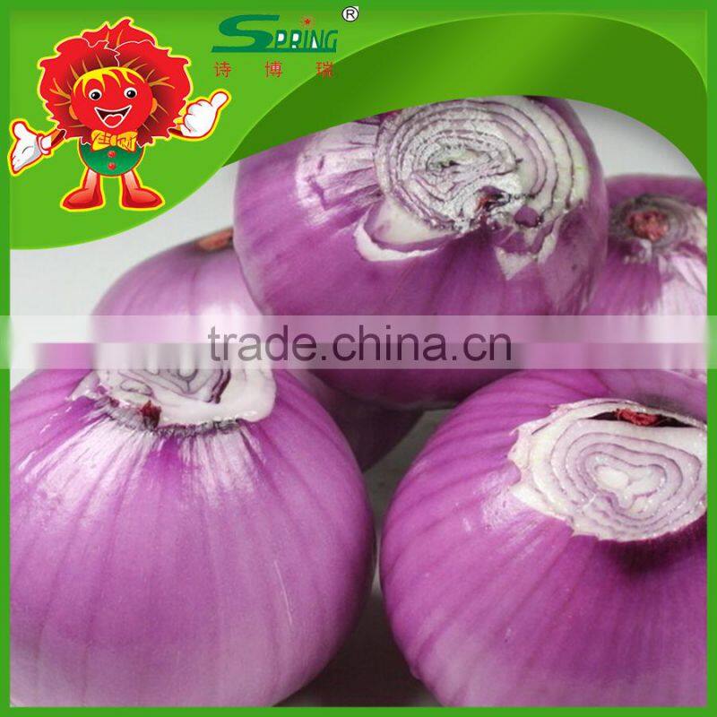 wholesale Fresh Onion/Yellow red onion exporters in china onions in bulk