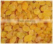 dried golden raisin