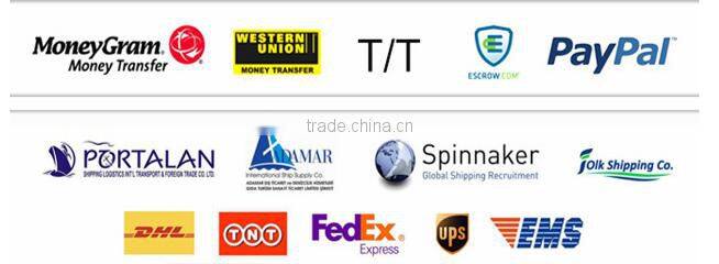 Princess Decorative Fancy Drinking Straw Paper Party Straw drinking straws for birthday party