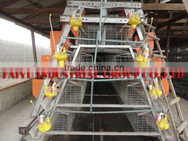 TAIYU West Africa Agent and Warehouse Chicken Layers Cage Automatic