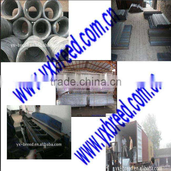 Poultry Chicken layer battery cage(factory high quality)