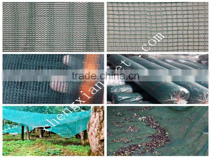 chengxiang olive net for harvesting