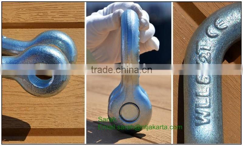 US Type Bolt and Nut Steel Drop Forged Safety Chain Shackle for sales