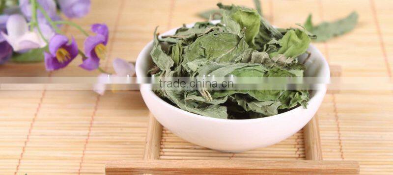Mint leaf multiple layer stainless steel conveyor dryer