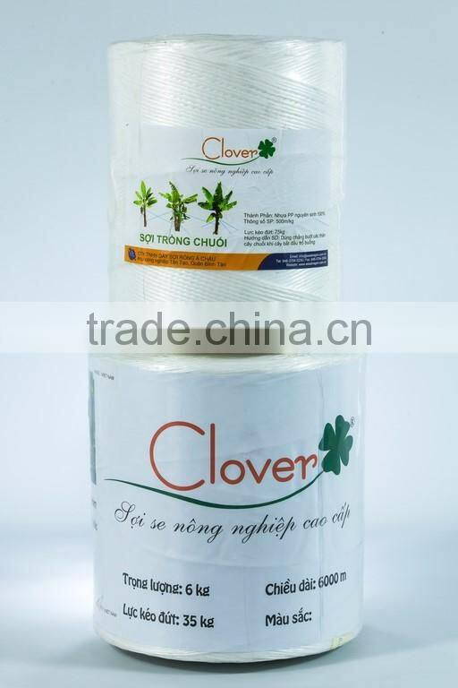 Tomato twine for Florida Weave cultivation