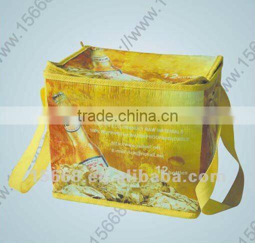 hot seller high quality cheap price bottle cooler bag (DZ-29202)