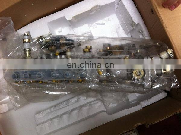 Longbeng Fuel Injection Pump BH6P110 (5854) for SHAGCHAI CAT6121