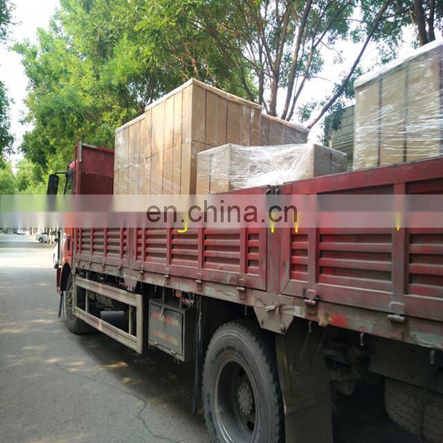 OEM 317901 C433 LE1774 SA19522 SL81309 Vacuum pump air filter