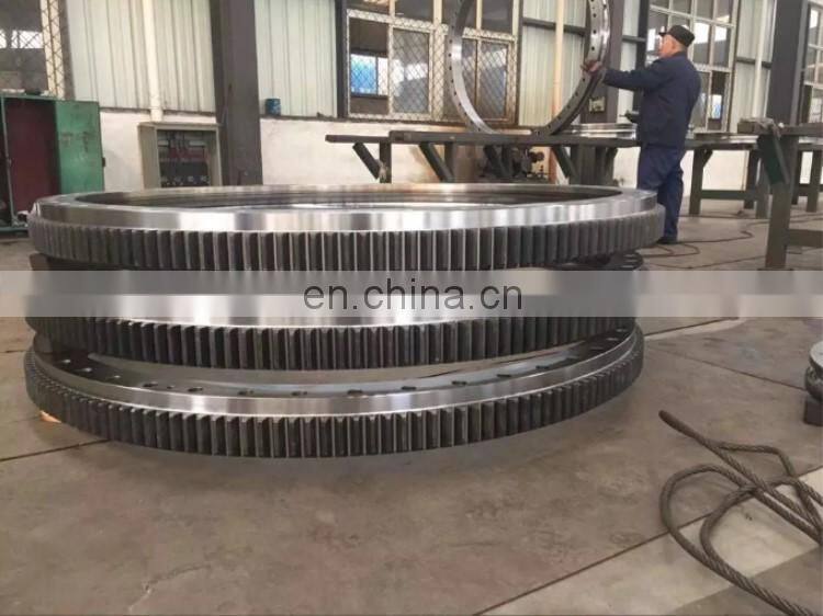 Free Sample OEM Manufacturer Supply NSK Table Bearing