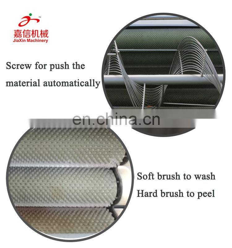 Potato brush peeling machinery