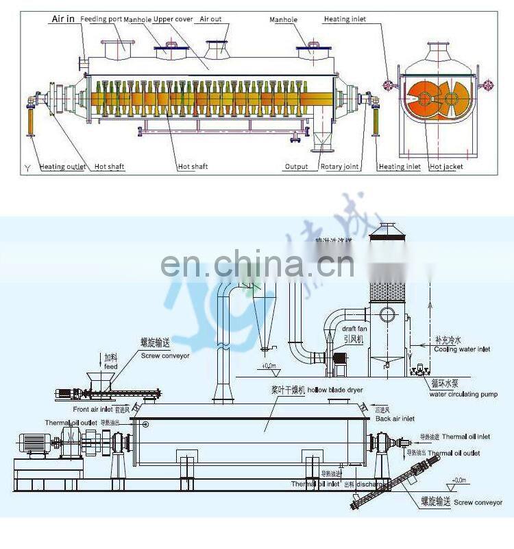 Chinese factory vacuum sludge hollow paddle dryer