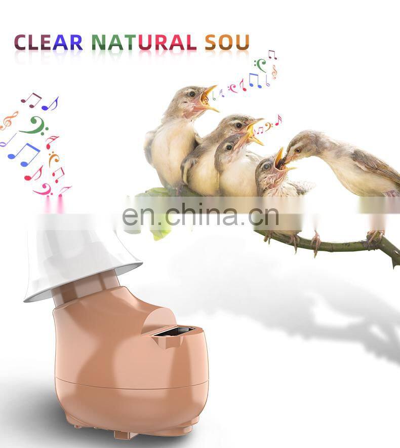 Rechargeable mini digital audio service hearing aid cic