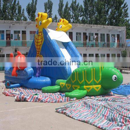 New Point inflatable water slides for summer,giant amusement inflatable slide,inflatable water slides