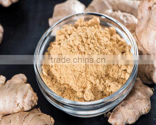 Dried Ginger Powder Manufacturer and Seller