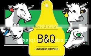 animal pig ear tag ,laser ear tag,ear tag for pig