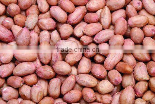 Raw Shelled Peanut