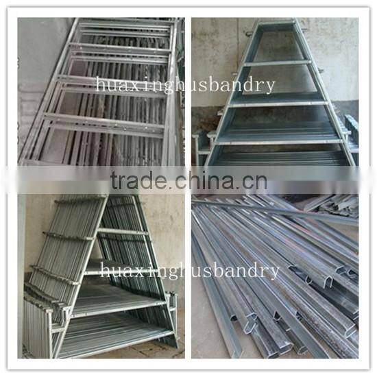 Huaxing automatic feeder for hens/broiler chicken feeding/broiler chicken coop