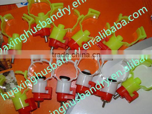 The chicken with a water fountain Chicken water fountain Large chicken with a water fountain