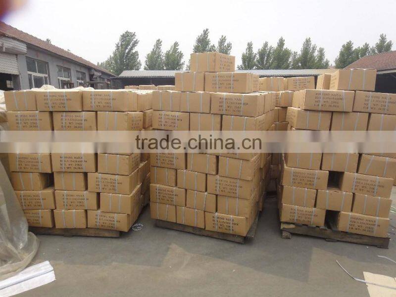 umbrella head galvanized roofing screw nail