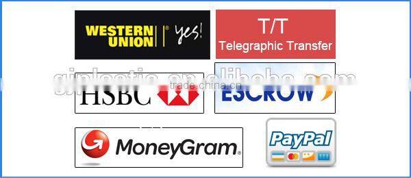 High quality plastic shell 5v 2a car charger/mini usb car charger/car charger for iphone