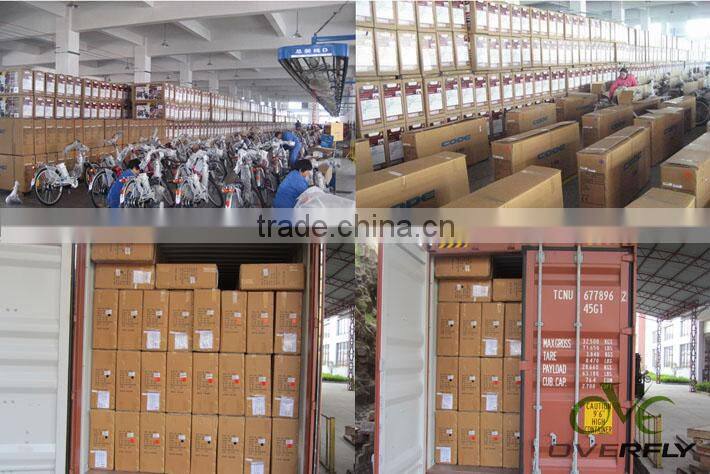 electric bicycle pedal assistance