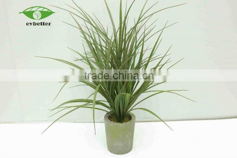 hot selling narture green bonsai plants wholesale for garden decoration