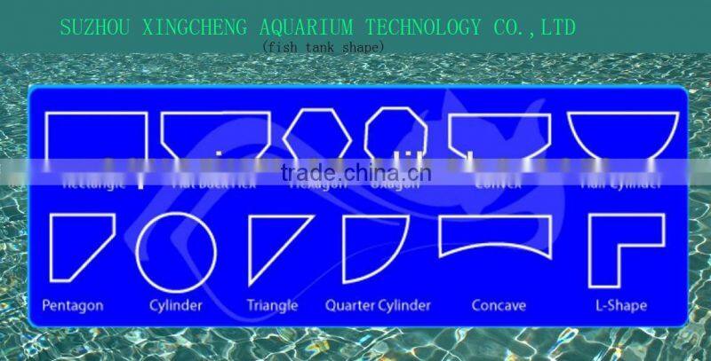 transparent cylinder aquarium