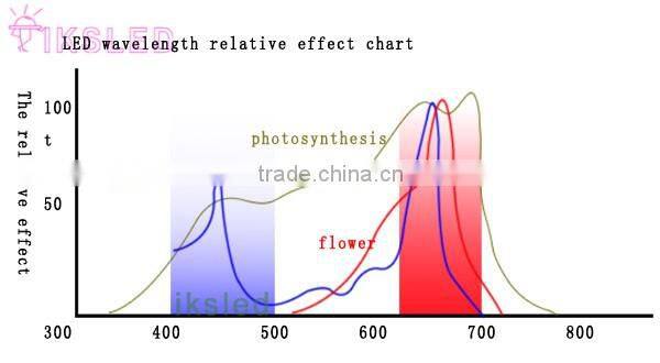 Korea led plant grow light strip lighting Red:Blue 3:1 4:1 5:1 6:1 7:1 8:1 9:1 LED Grow