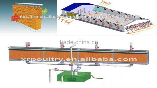 cfb 07 cheap price A type bird cage for chicken layer egg hen farming equipment