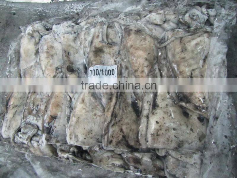 CUTTLE FISH WHOLE