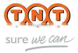 Genuine Baltic Raw Amber Top Sale Healing Necklace