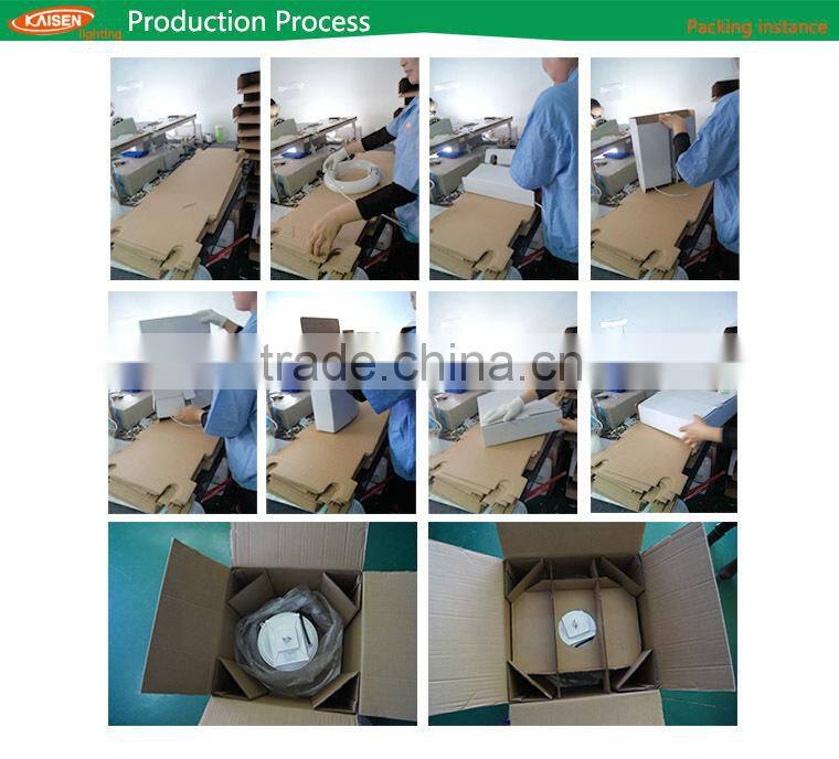 competitive price waterproof stainless steel CE ROHS IP65 LED garden light induction lamp