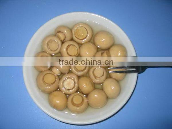 New Fresh Canned Mushroom