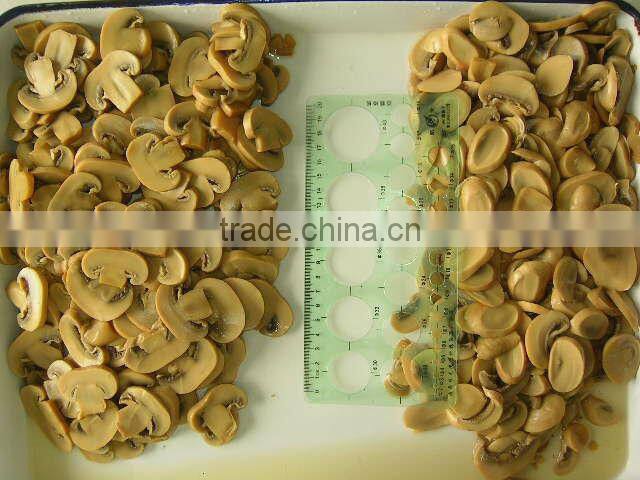 Tinned Mushroom Slices