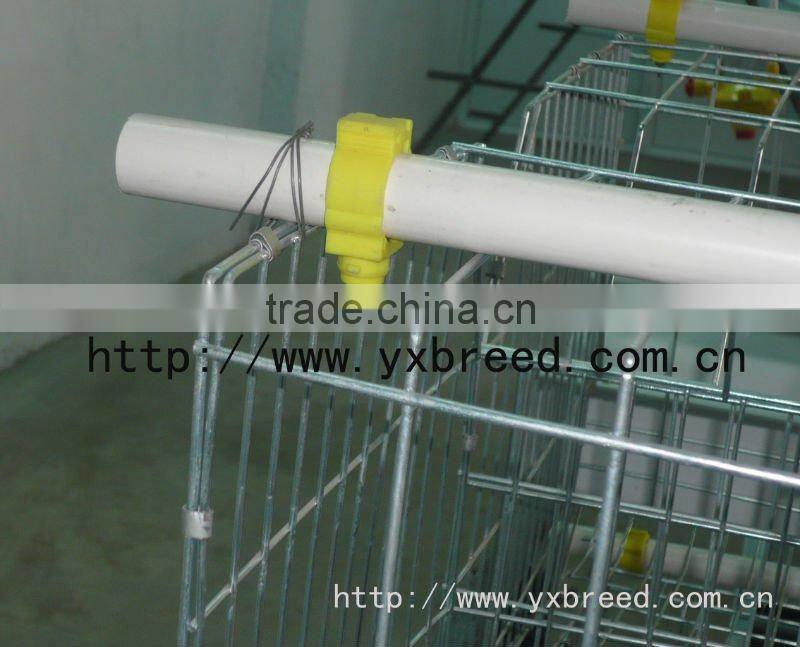 automatic nipple water drinker