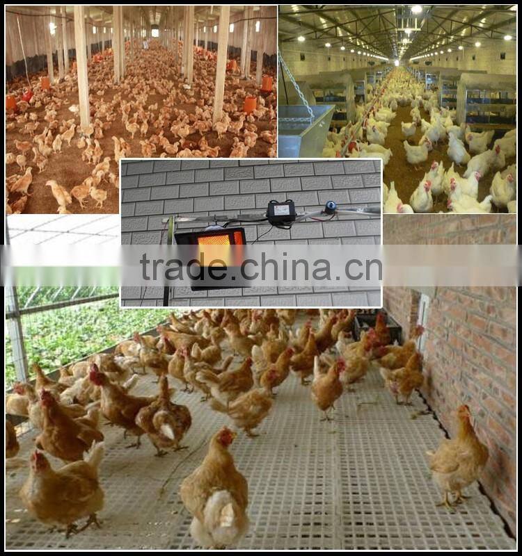 Auto feeding system for chicken / poultry feeder system for chicken / automatic feeding system and drinking system