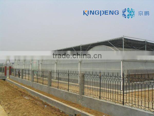 Greenhouse with plastic film cover