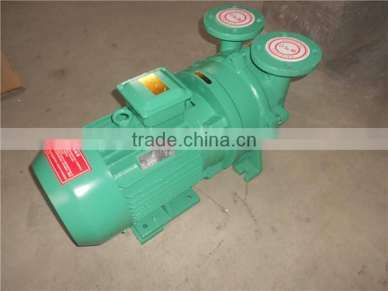 2BV Vacuum Pump