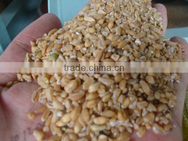 5XZC-5BXC Grain processing machine cleaner