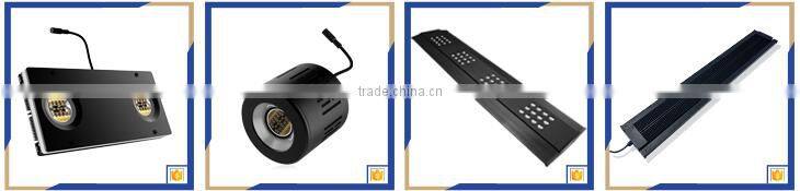 wholesale freshwater aquarium best quality