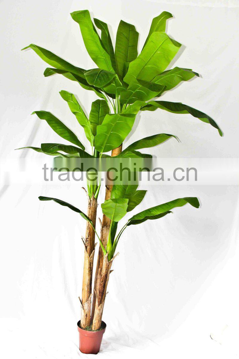 Wholesale indoor use bonsai