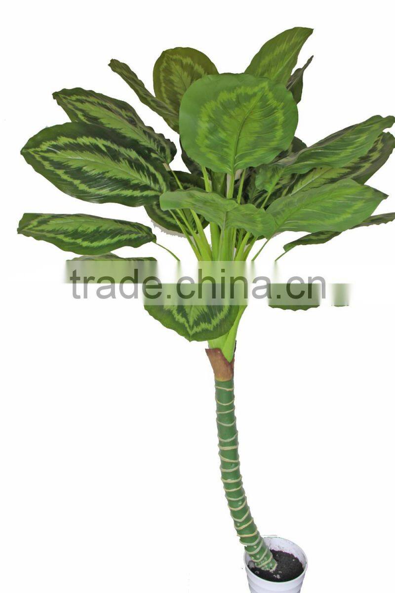 HX010471 fake bottle plant