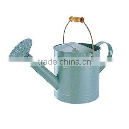 Metal dual actional watering can with removable threaded shower head perfect for garden horticultural cultivation & maintenance