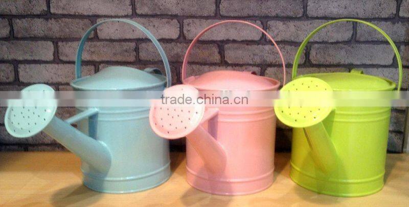 Mini Metal Watering Can